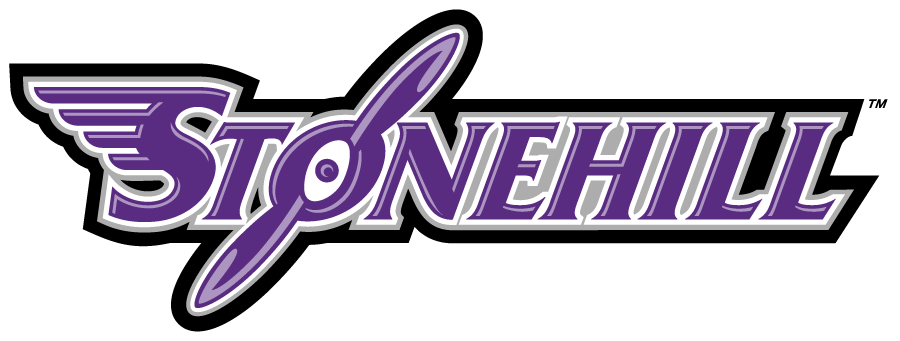 Stonehill Skyhawks 2005-2017 Wordmark Logo v3 diy iron on heat transfer
